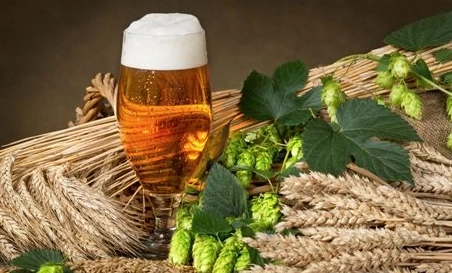 精釀啤酒中，如何選擇恰當(dāng)?shù)慕湻椒ǎ? class=