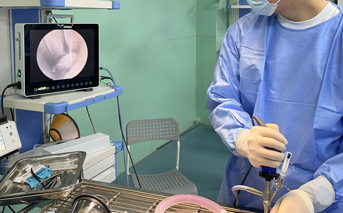 獸用腹腔內窺鏡 獸用腹腔內窺鏡